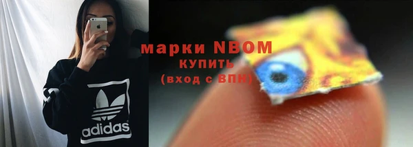ГАЛЛЮЦИНОГЕННЫЕ ГРИБЫ Абаза