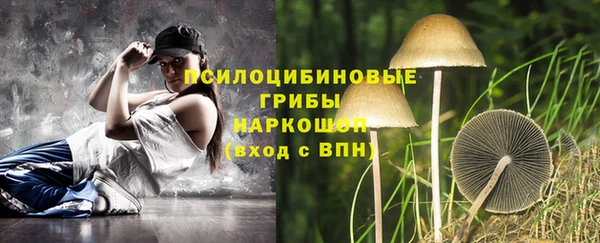 дмт Алексеевка