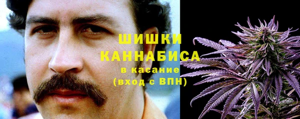 спайс Алексин