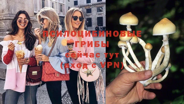 гашик Абдулино