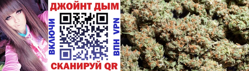Конопля планчик  Шлиссельбург 